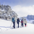 Fêter Nouvel An dans les Vosges