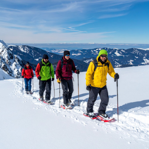 Balade en raquettes à neige