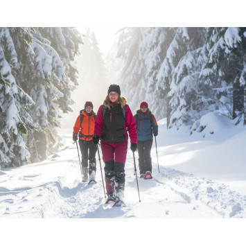 Journée raquettes à neige découverte des lacs vosgiens