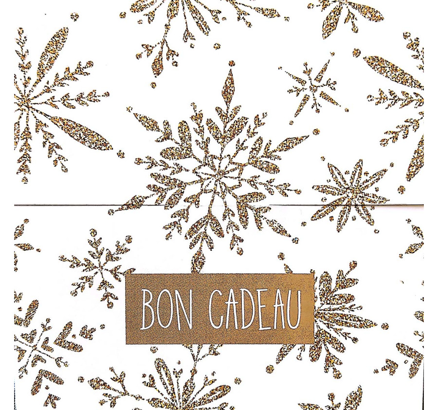 Bon cadeau pour une sortie en raquettes à neige au coeur des Vosges