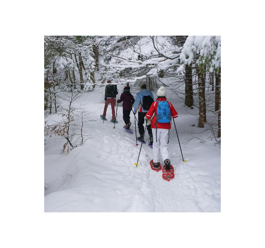 Balade en raquettes à neige privative dans les Vosges