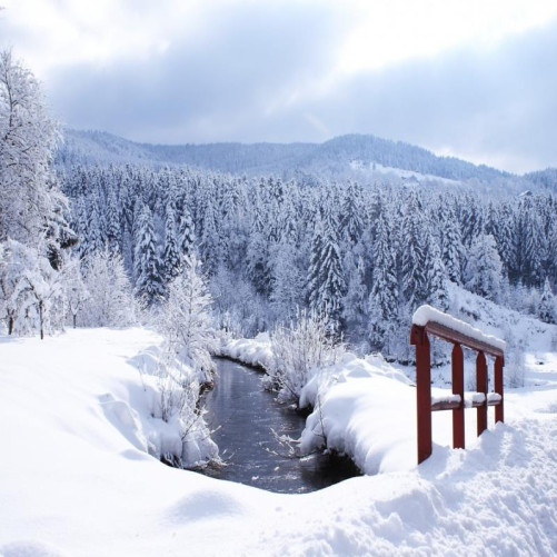 Balade en raquettes à neige au Ventron