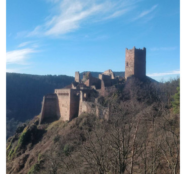 Randonnée aux Palais royales- les Chateaux de Ribeauvillé