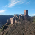 Randonnée aux Palais royales- les Chateaux de Ribeauvillé