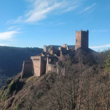 Randonnée aux Palais royales- les Chateaux de Ribeauvillé