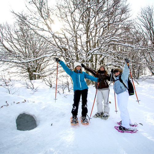 Balade en raquettes à neige avec fondue