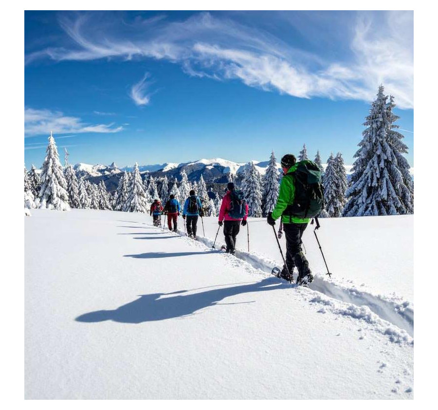 Séjour hivernal 2 Jours dans un hotel au Bussang en montagne