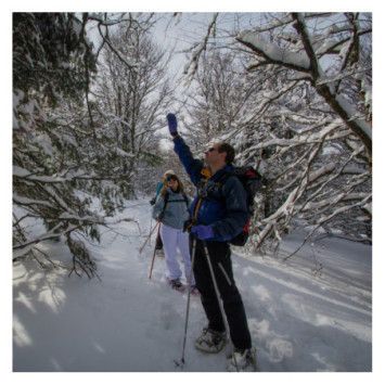 Fêter Nouvel An en pleine Nature au Lac Blanc