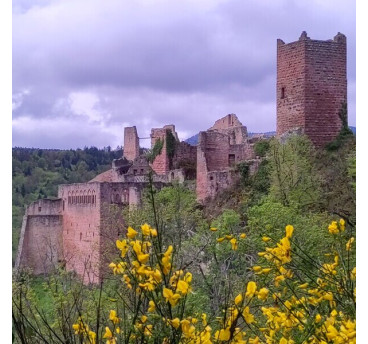 Balade à la découverte des Châteaux de Ribeauvillé