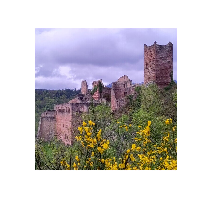 Les châteaux médiévaux