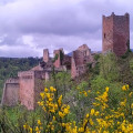 Les châteaux médiévaux