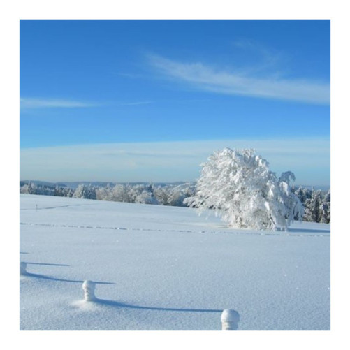 Balade en raquettes à neige sur les chaumes du Hohneck