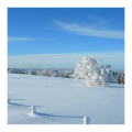 copy of Balade en raquettes à neige coucher du soleil au Hohneck