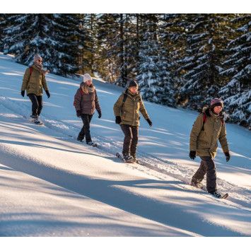 Sortie en raquettes à neige au col de la Schlucht