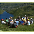 A la rencontre des chamois  et des « Hautes Chaumes »