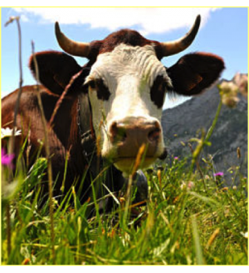 A la découverte de la ferme 