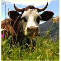 A la découverte de la ferme 