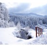 Balade en raquettes à neige au Ventron