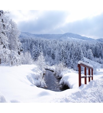 Sortie Raquettes à neige sur les chaumes du Grand Ventron