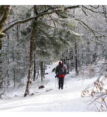 Sortie Raquettes à neige sur les chaumes du Huss