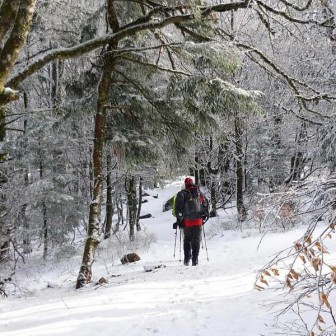 Sortie Raquettes à neige sur les chaumes du Huss