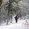 Balade en raquettes à neige sur les chaumes du Huss