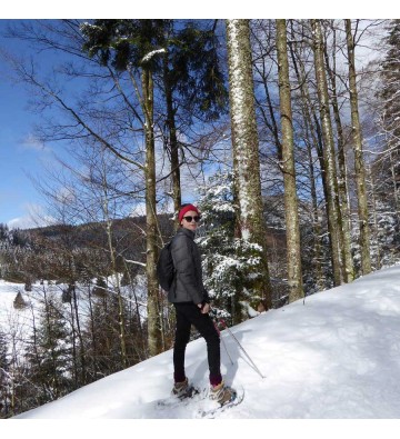 Sortie Raquettes à neige sur la crête du Kastelberg