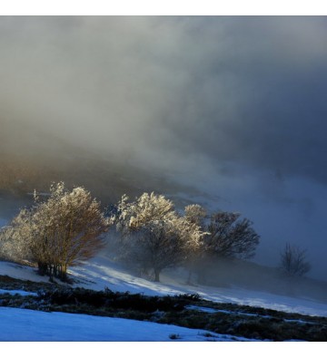 Sortie Raquettes à neige sur la tête de Raves