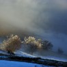 Balade en raquettes à neige sur la tête de Raves