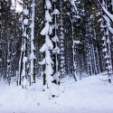 Sortie Raquettes à neige Découverte du Neuntelstein